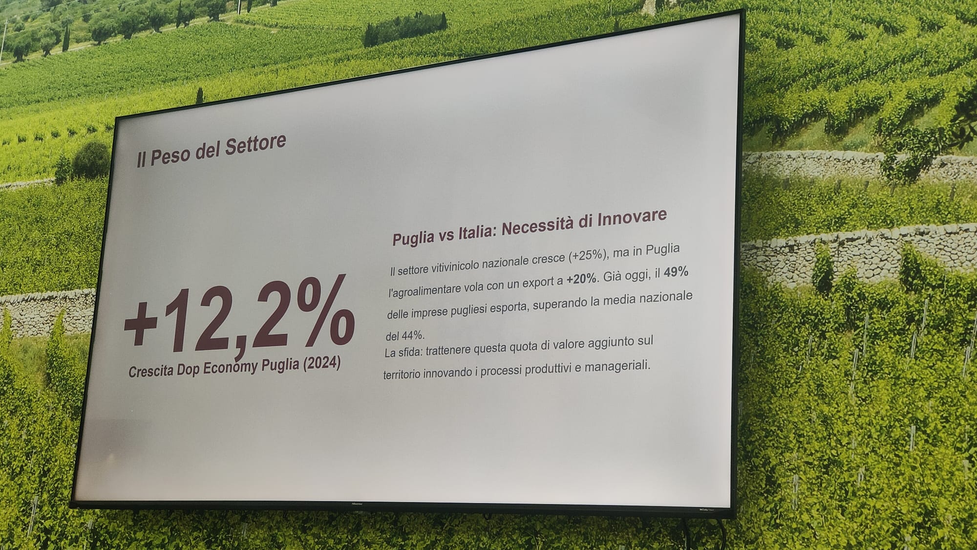 Galleria Puglia al Vinitaly 2026, enoturismo e formazione leve per la crescita del sistema vitivinicolo - Diapositiva 4 di 5