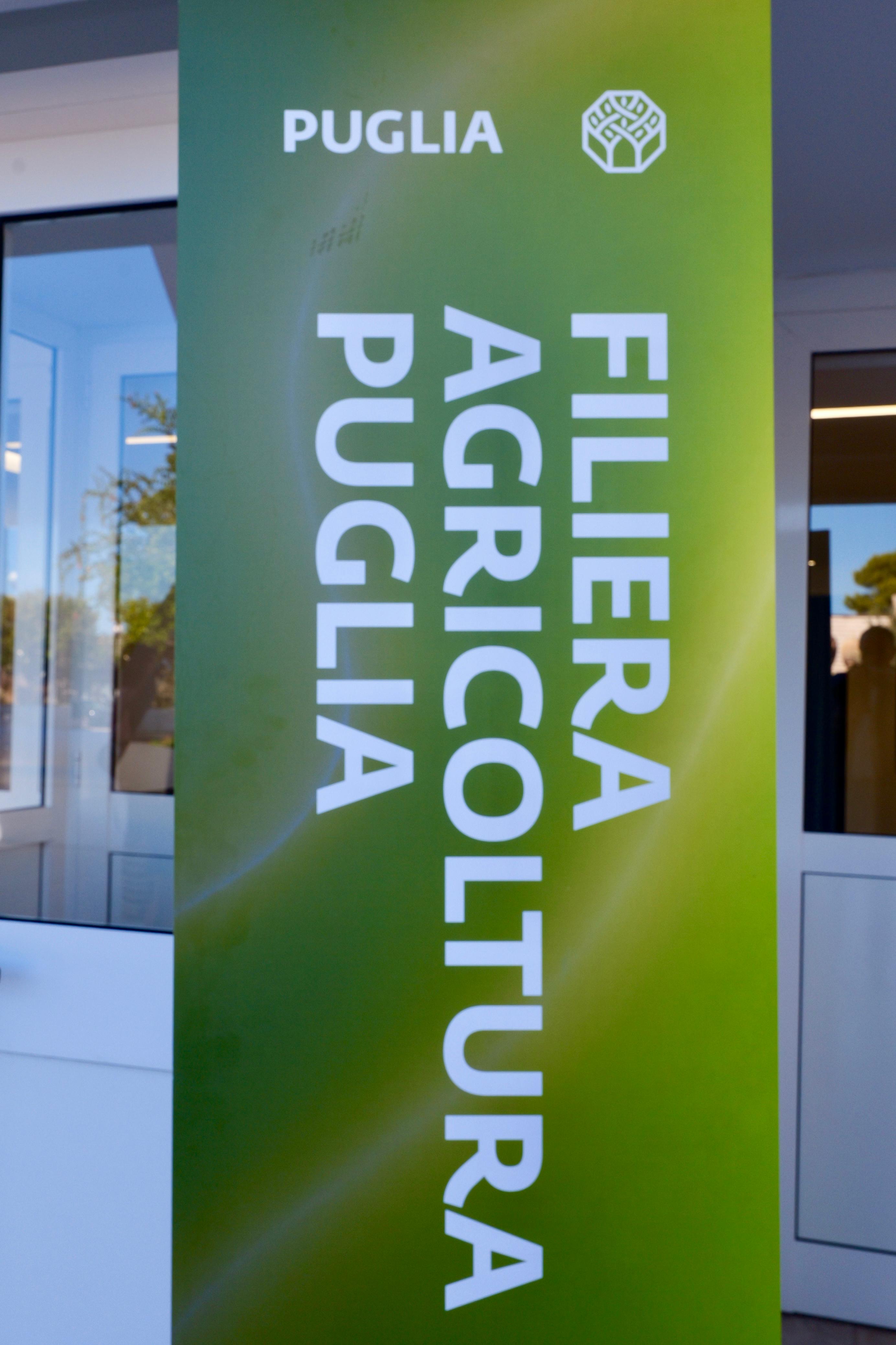 Galleria Filiera Agricoltura Puglia: la strategia regionale per creare valore ai prodotti e alle imprese - Diapositiva 11 di 13
